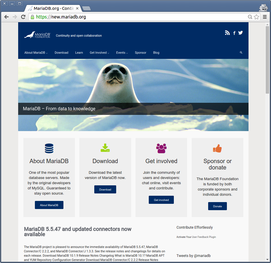 New MariaDB.org in 2015