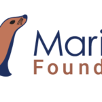 MariaDB Foundation Logo. Horizontal orientation.